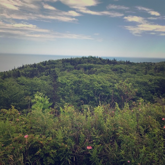 Meet your Posher, Crystal - Picture 1 of 1